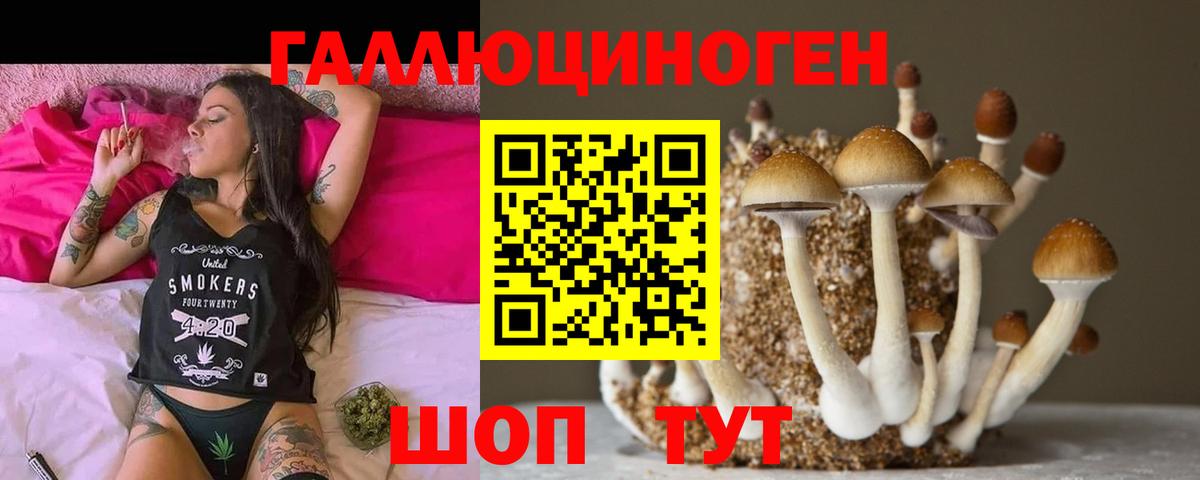 Псилоцибиновые грибы мухоморы Орёл